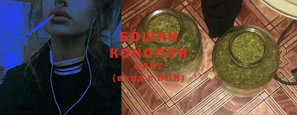 скорость Вяземский